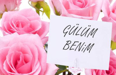 Gülüm Benim Gülüm Benim